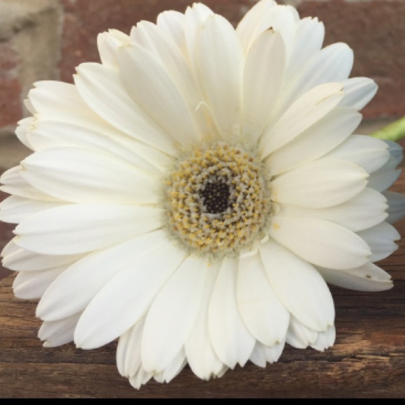 Meet your Posher, Shipra - Picture 1 of 1